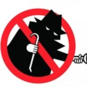 Thiefbusters logo